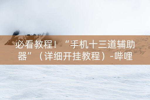 必看教程！“手机十三道辅助器”（详细开挂教程）-哔哩哔哩