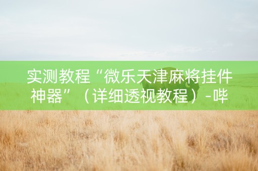 实测教程“微乐天津麻将挂件神器”（详细透视教程）-哔哩哔哩