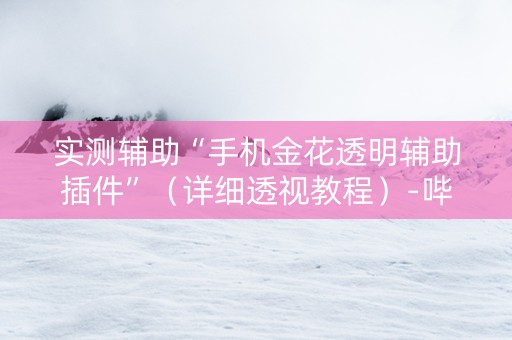 实测辅助“手机金花透明辅助插件”（详细透视教程）-哔哩哔哩