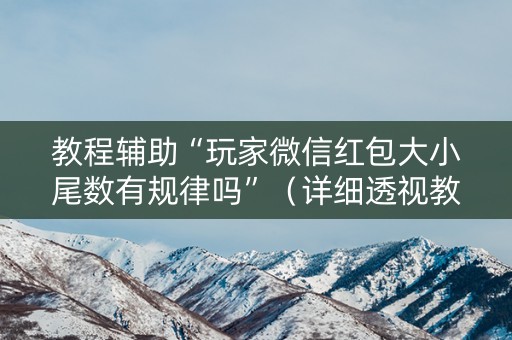 教程辅助“玩家微信红包大小尾数有规律吗”（详细透视教程）-哔哩哔哩