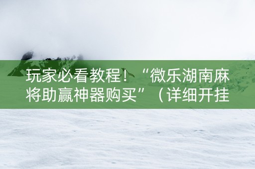 玩家必看教程！“微乐湖南麻将助赢神器购买”（详细开挂教程）-哔哩哔哩
