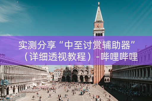 实测分享“中至讨赏辅助器”（详细透视教程）-哔哩哔哩