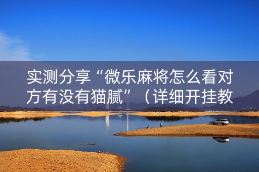 实测分享“微乐麻将怎么看对方有没有猫腻”（详细开挂教程）-哔哩哔哩