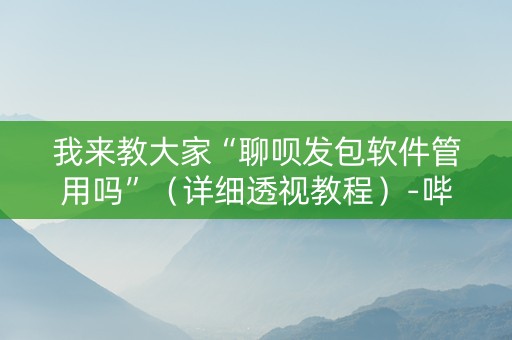 我来教大家“聊呗发包软件管用吗”（详细透视教程）-哔哩哔哩