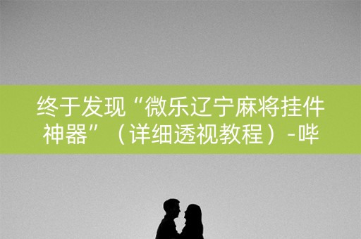 终于发现“微乐辽宁麻将挂件神器”（详细透视教程）-哔哩哔哩