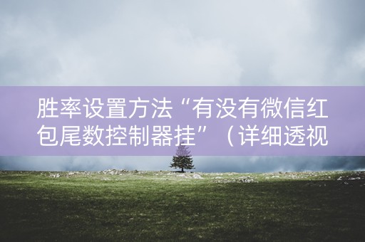 胜率设置方法“有没有微信红包尾数控制器挂”（详细透视教程）-哔哩哔哩