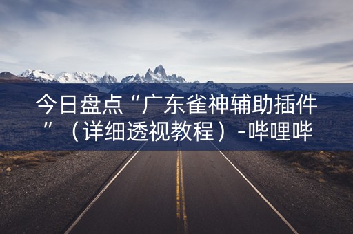 今日盘点“广东雀神辅助插件”（详细透视教程）-哔哩哔哩