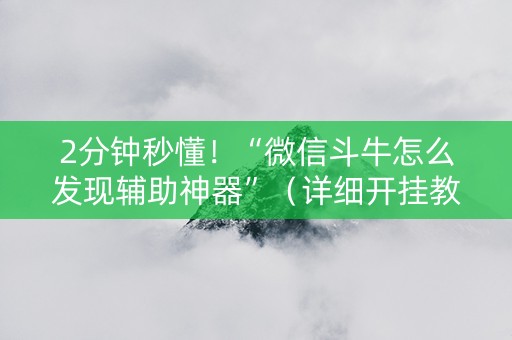 2分钟秒懂！“微信斗牛怎么发现辅助神器”（详细开挂教程）-哔哩哔哩