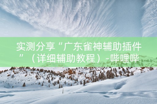 实测分享“广东雀神辅助插件”（详细辅助教程）-哔哩哔哩
