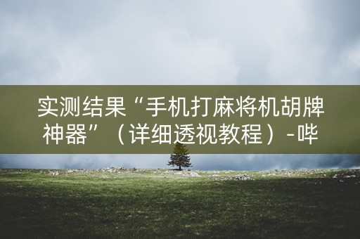 实测结果“手机打麻将机胡牌神器”（详细透视教程）-哔哩哔哩