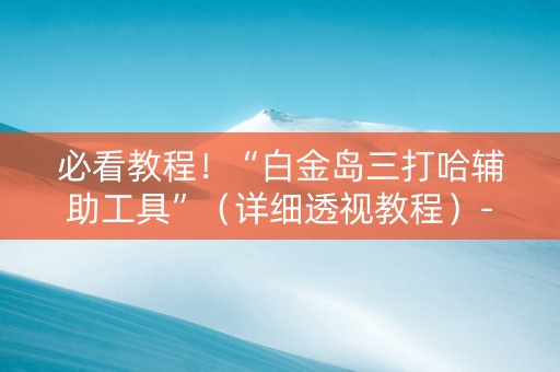 必看教程！“白金岛三打哈辅助工具”（详细透视教程）-哔哩哔哩