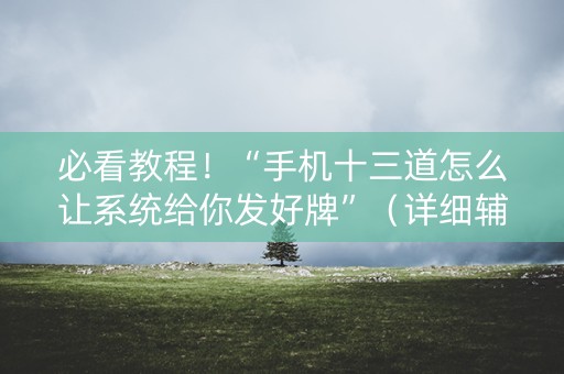 必看教程！“手机十三道怎么让系统给你发好牌”（详细辅助教程）-哔哩哔哩