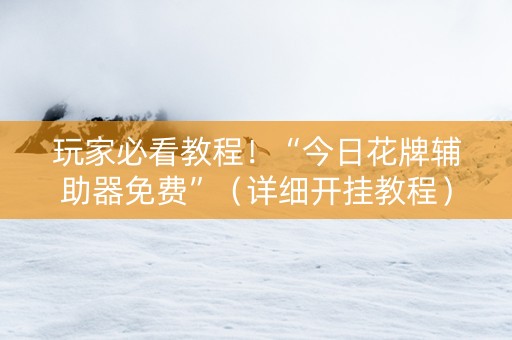 玩家必看教程！“今日花牌辅助器免费”（详细开挂教程）-哔哩哔哩