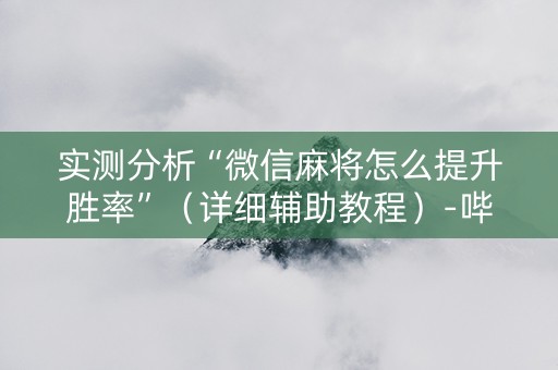 实测分析“微信麻将怎么提升胜率”（详细辅助教程）-哔哩哔哩