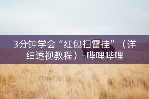 3分钟学会“红包扫雷挂”（详细透视教程）-哔哩哔哩