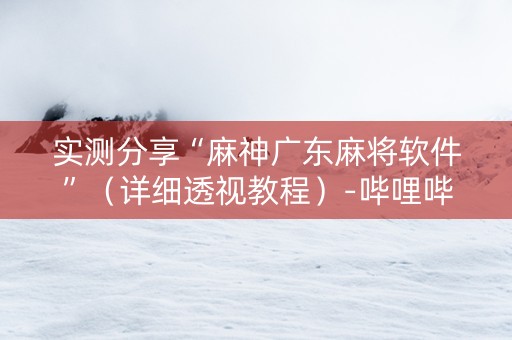 实测分享“麻神广东麻将软件”（详细透视教程）-哔哩哔哩