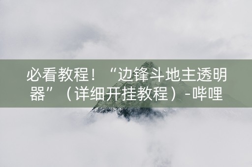 必看教程！“边锋斗地主透明器”（详细开挂教程）-哔哩哔哩