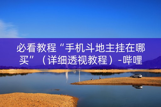 必看教程“手机斗地主挂在哪买”（详细透视教程）-哔哩哔哩