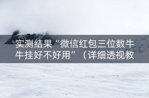 实测结果“微信红包三位数牛牛挂好不好用”（详细透视教程）-哔哩哔哩