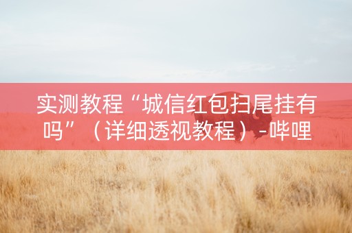 实测教程“城信红包扫尾挂有吗”（详细透视教程）-哔哩哔哩