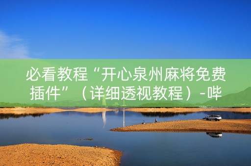 必看教程“开心泉州麻将免费插件”（详细透视教程）-哔哩哔哩