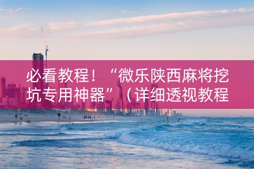 必看教程！“微乐陕西麻将挖坑专用神器”（详细透视教程）-哔哩哔哩