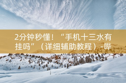 2分钟秒懂！“手机十三水有挂吗”（详细辅助教程）-哔哩哔哩