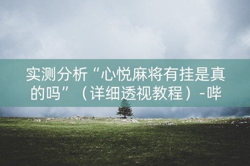 实测分析“心悦麻将有挂是真的吗”（详细透视教程）-哔哩哔哩
