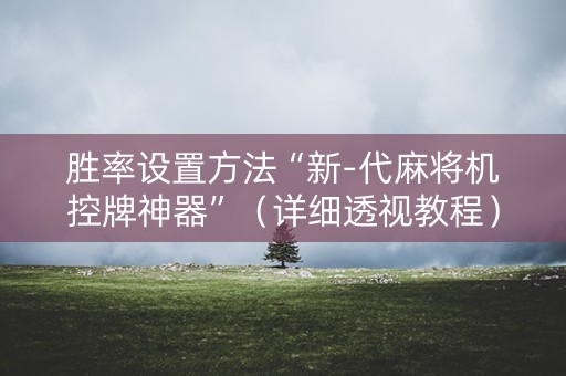胜率设置方法“新-代麻将机控牌神器”（详细透视教程）-哔哩哔哩