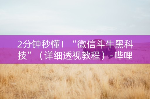 2分钟秒懂！“微信斗牛黑科技”（详细透视教程）-哔哩哔哩