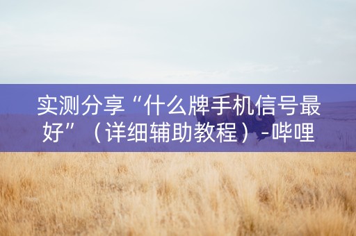 实测分享“什么牌手机信号最好”（详细辅助教程）-哔哩哔哩