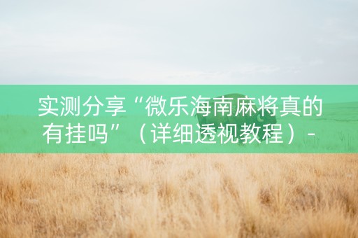 实测分享“微乐海南麻将真的有挂吗”（详细透视教程）-哔哩哔哩