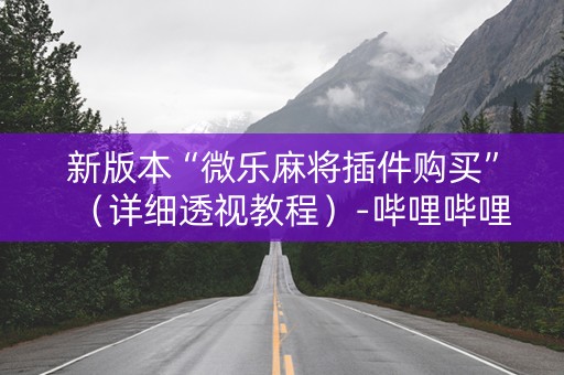 新版本“微乐麻将插件购买”（详细透视教程）-哔哩哔哩