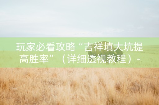 玩家必看攻略“吉祥填大坑提高胜率”（详细透视教程）-哔哩哔哩