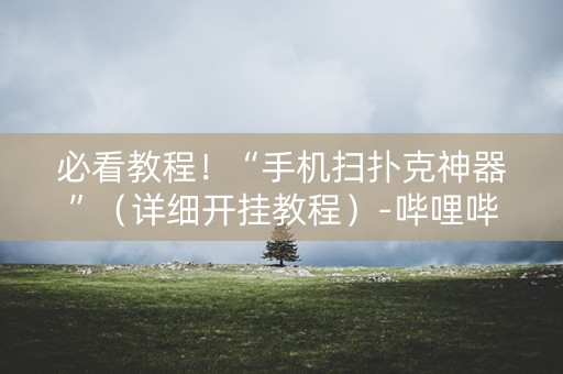 必看教程！“手机扫扑克神器”（详细开挂教程）-哔哩哔哩