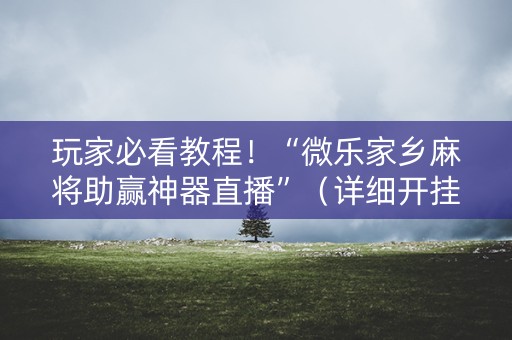 玩家必看教程！“微乐家乡麻将助赢神器直播”（详细开挂教程）-哔哩哔哩