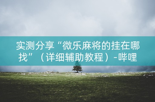 实测分享“微乐麻将的挂在哪找”（详细辅助教程）-哔哩哔哩
