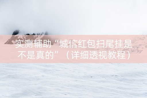 实测辅助“城信红包扫尾挂是不是真的”（详细透视教程）-哔哩哔哩
