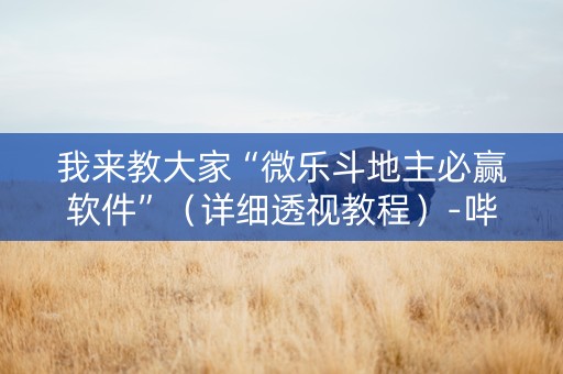 我来教大家“微乐斗地主必赢软件”（详细透视教程）-哔哩哔哩