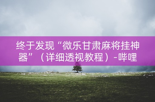 终于发现“微乐甘肃麻将挂神器”（详细透视教程）-哔哩哔哩