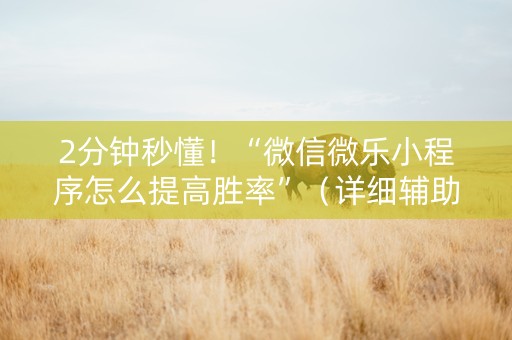 2分钟秒懂！“微信微乐小程序怎么提高胜率”（详细辅助教程）-哔哩哔哩