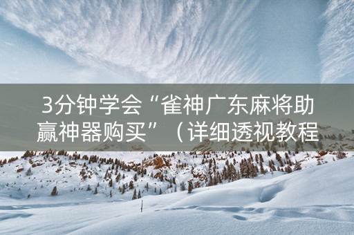 3分钟学会“雀神广东麻将助赢神器购买”（详细透视教程）-哔哩哔哩
