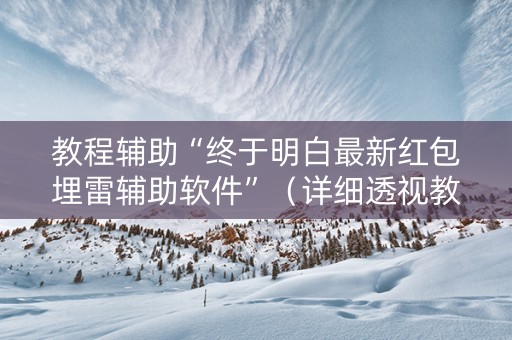 教程辅助“终于明白最新红包埋雷辅助软件”（详细透视教程）-哔哩哔哩