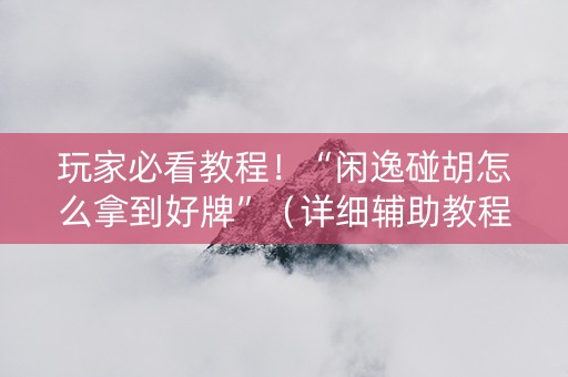 玩家必看教程！“闲逸碰胡怎么拿到好牌”（详细辅助教程）-哔哩哔哩