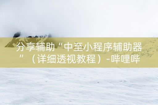 分享辅助“中至小程序辅助器”（详细透视教程）-哔哩哔哩