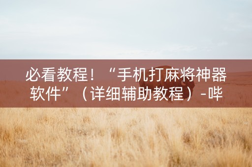 必看教程！“手机打麻将神器软件”（详细辅助教程）-哔哩哔哩