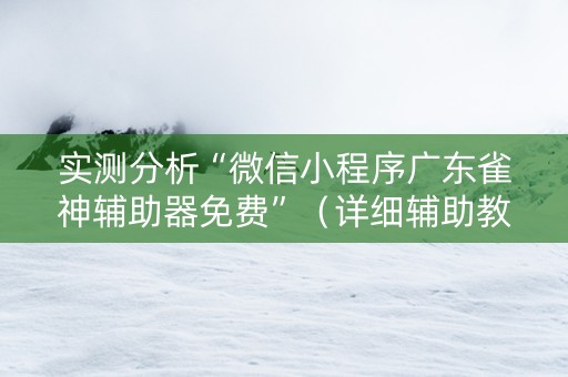 实测分析“微信小程序广东雀神辅助器免费”（详细辅助教程）-哔哩哔哩