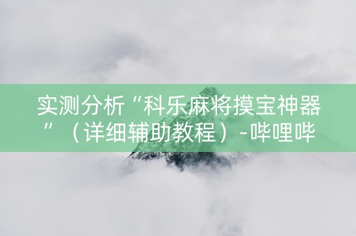 实测分析“科乐麻将摸宝神器”（详细辅助教程）-哔哩哔哩