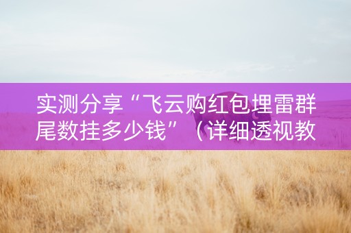 实测分享“飞云购红包埋雷群尾数挂多少钱”（详细透视教程）-哔哩哔哩