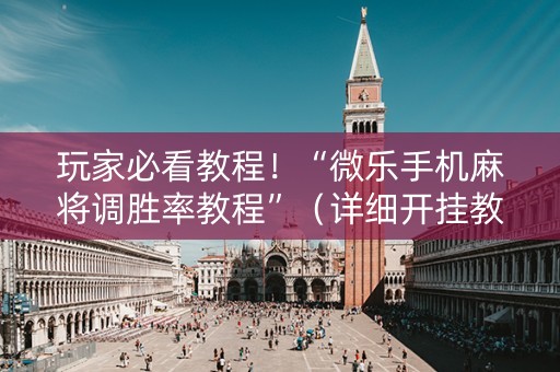 玩家必看教程！“微乐手机麻将调胜率教程”（详细开挂教程）-哔哩哔哩